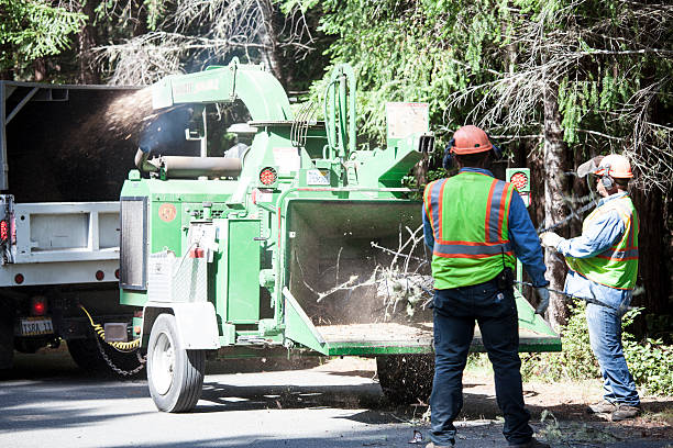 Best Lawn Watering Services  in Han, GA
